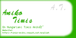 aniko timis business card